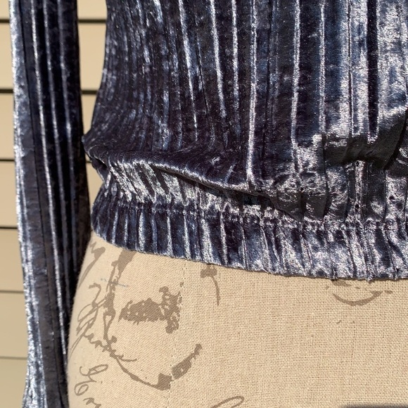COTTON EMPORIUM crushed velvet pleated top - Picture 5 of 11